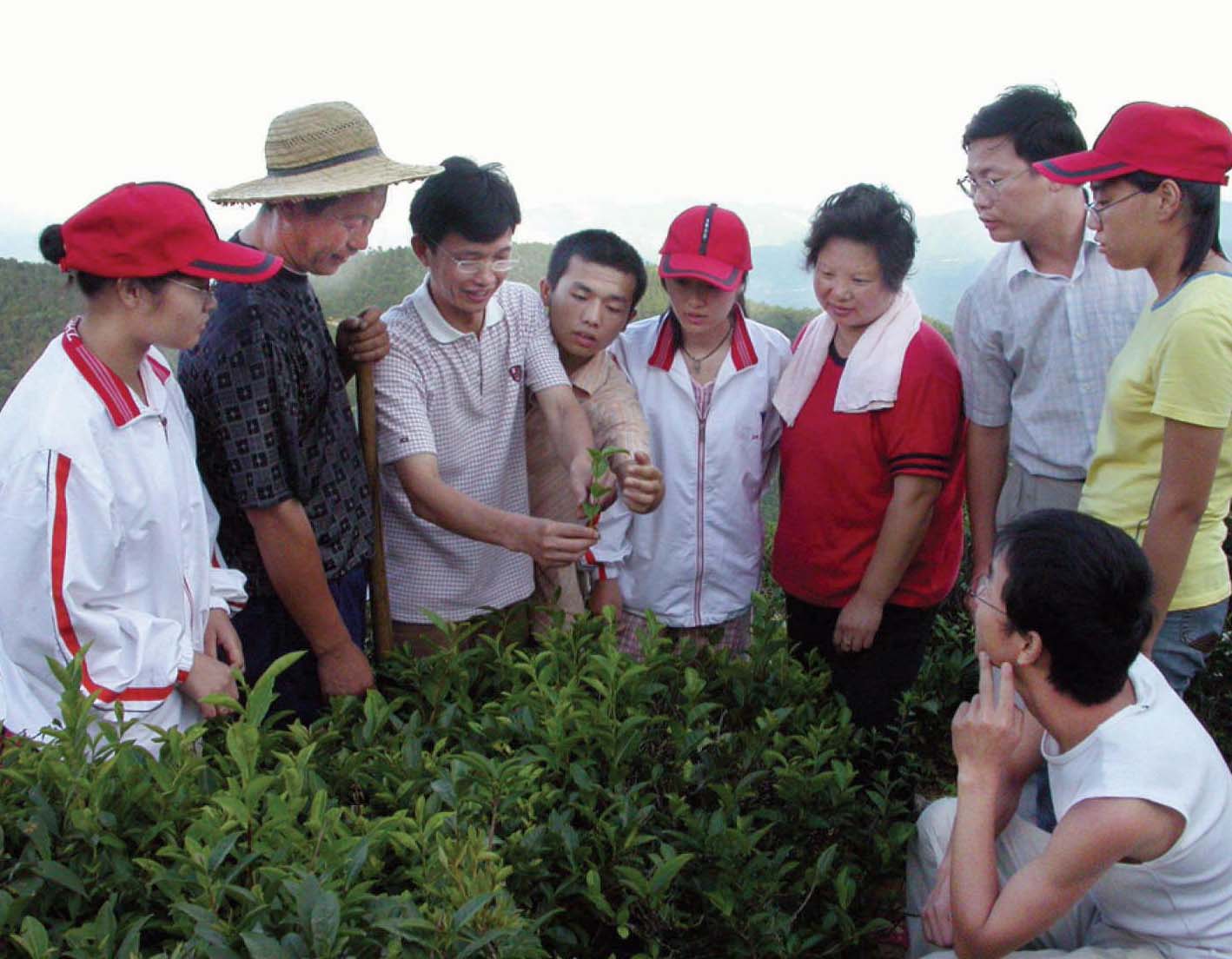 茶学大家 心系天台